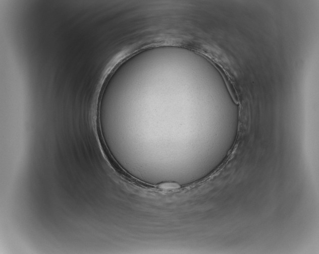 X0000112380003200908271329