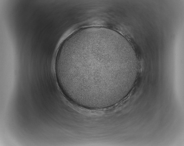 X0000112380004200908271329