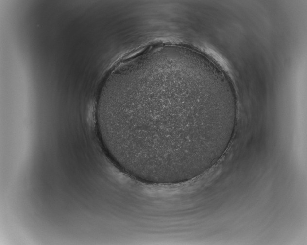 X0000112380009200908271329