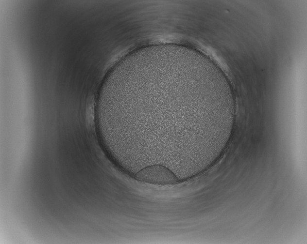 X0000112380010200908271329