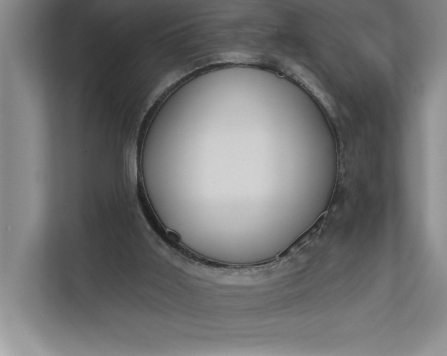 X0000112380011200908271329