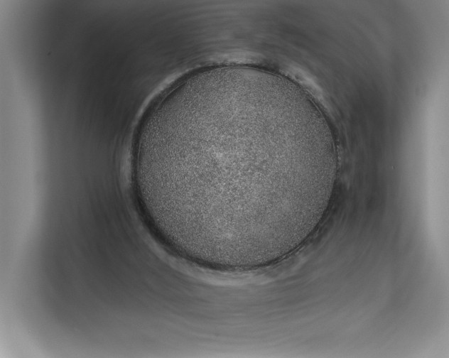 X0000112380012200908271329