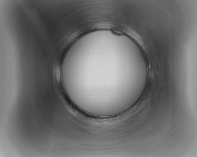 X0000112380013200908271329