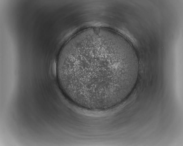 X0000112380014200908271329