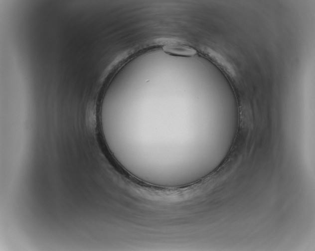 X0000112380015200908271329