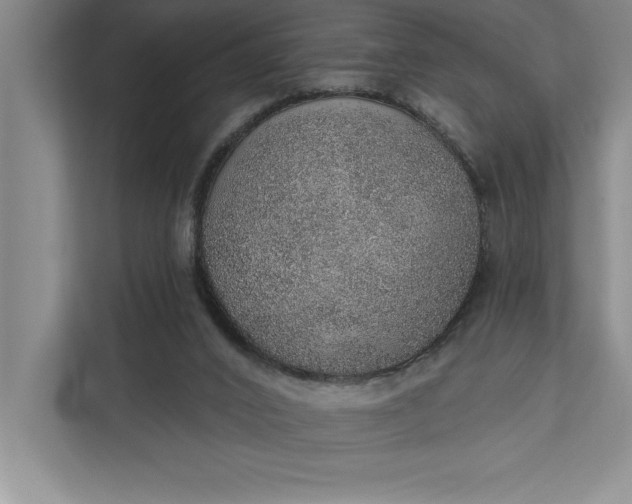 X0000112380016200908271329