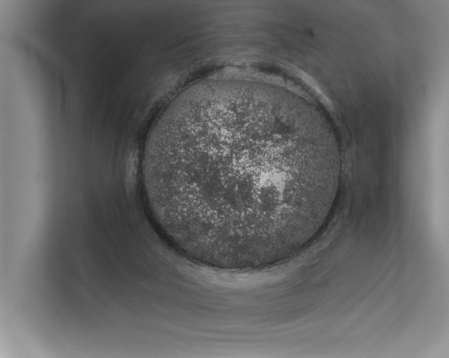 X0000112380018200908271329