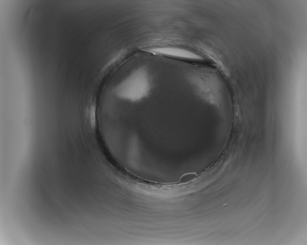 X0000112380019200908271329