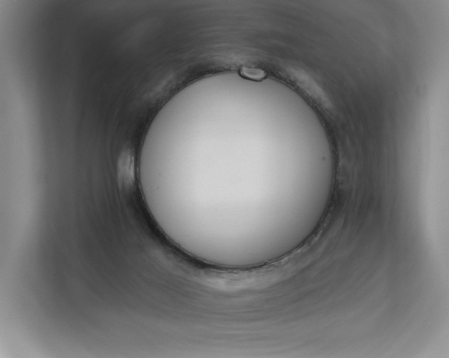 X0000112380021200908271329