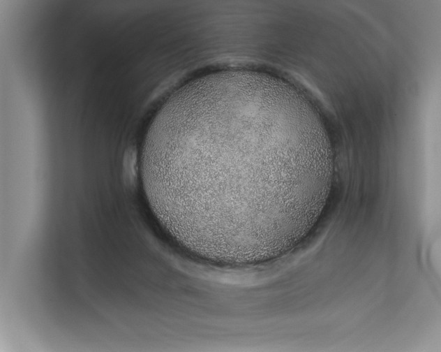 X0000112380024200908271329