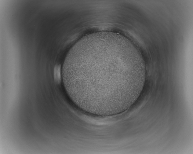 X0000112380028200908271329