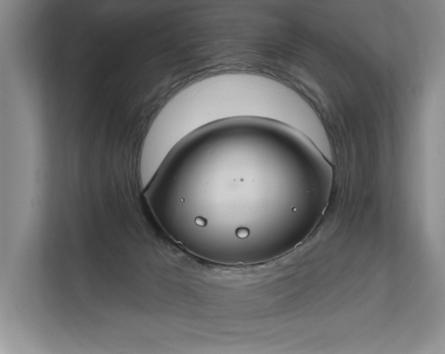 X0000112380029200908271329