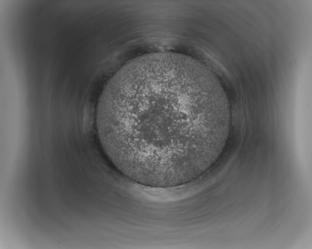 X0000112380030200908271329