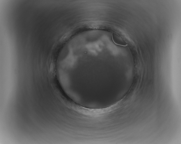 X0000112380031200908271329