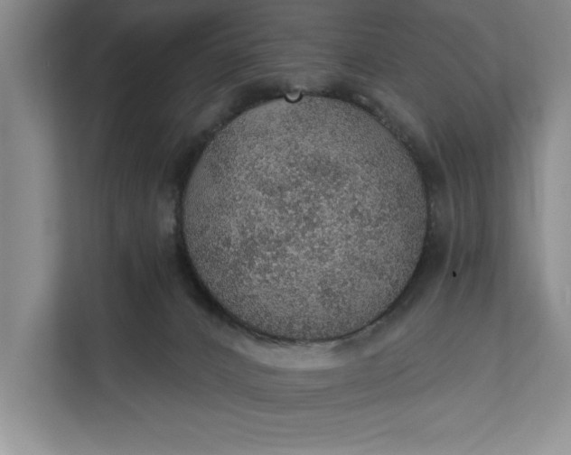 X0000112380032200908271328