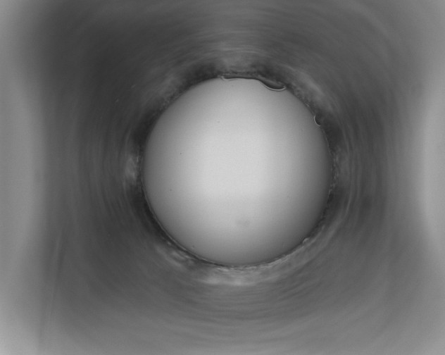 X0000112380033200908271328