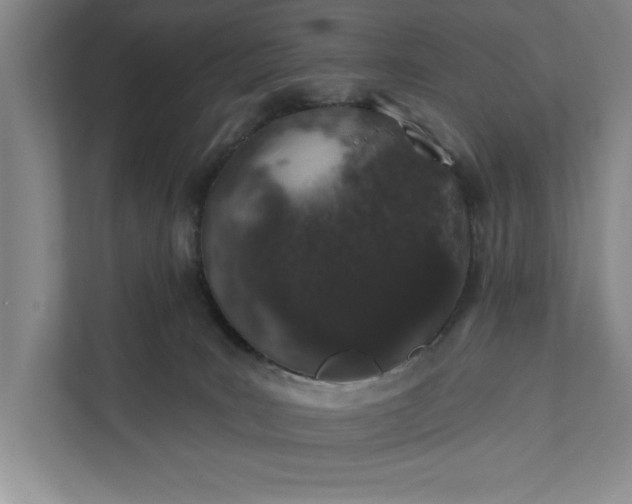 X0000112380035200908271328