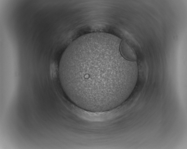 X0000112380038200908271328