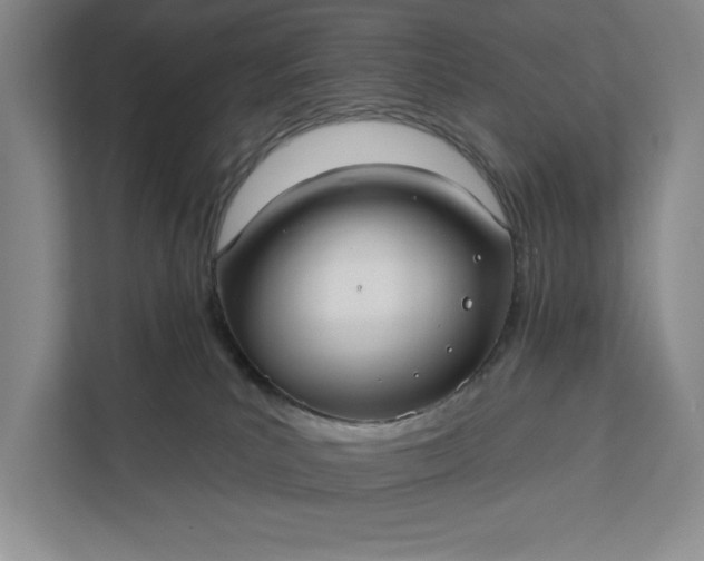 X0000112380039200908271328