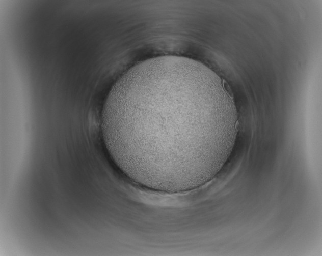 X0000112380040200908271328