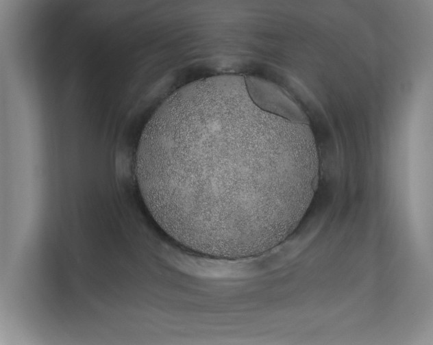 X0000112380044200908271328