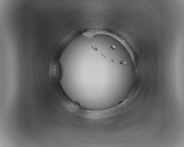 X0000112380045200908271328