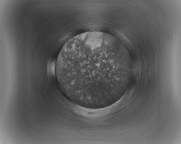 X0000112380047200908271328