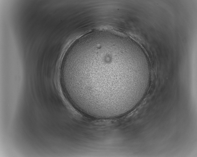 X0000112380049200908271328