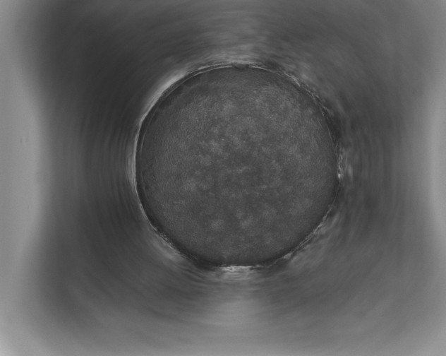 X0000112380052200908271328