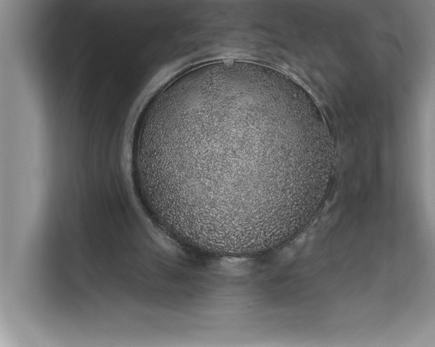 X0000112380055200908271328