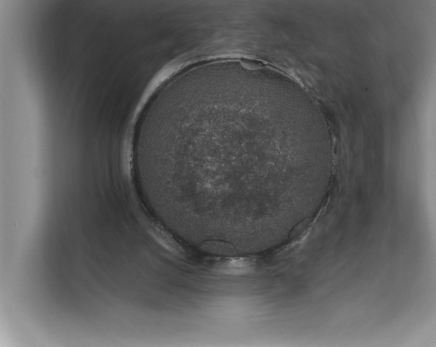 X0000112380056200908271328