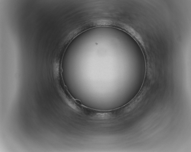 X0000112380057200908271328