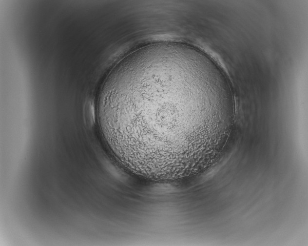 X0000112380061200908271328