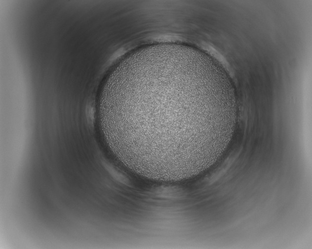 X0000112380063200908271328