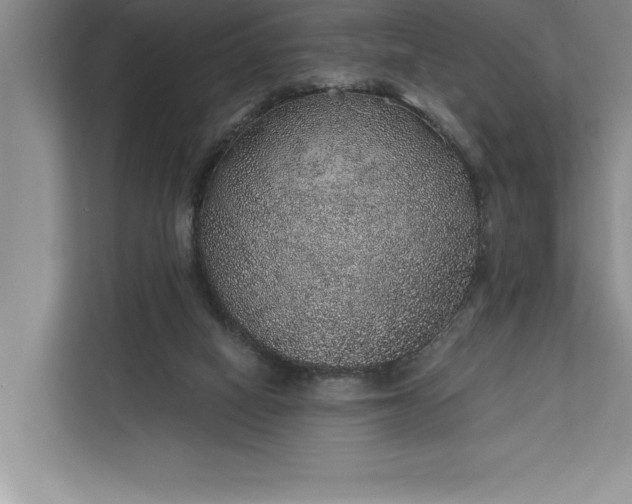 X0000112380066200908271328