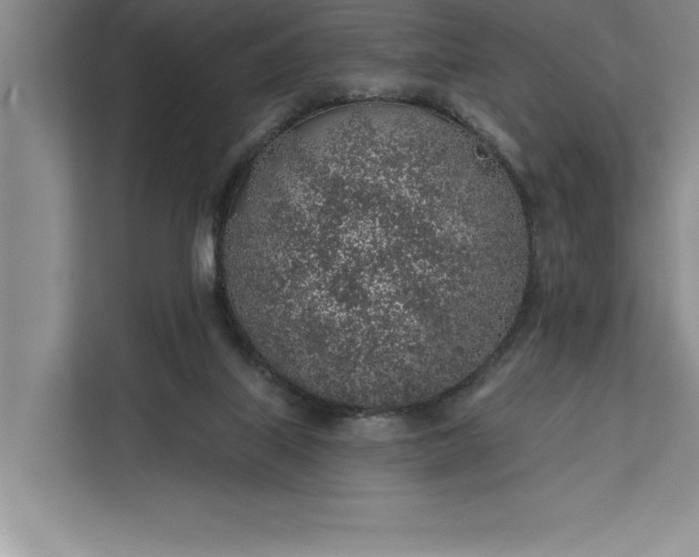 X0000112380067200908271328