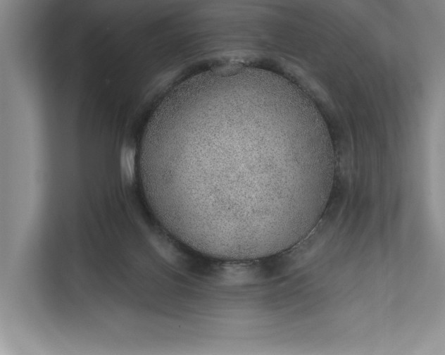 X0000112380070200908271328