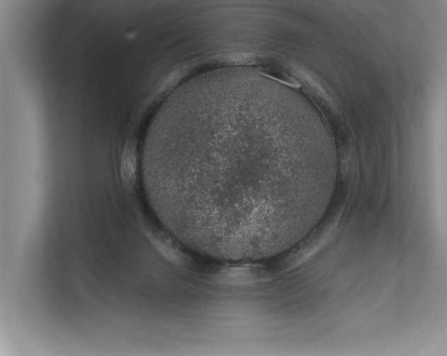 X0000112380072200908271328