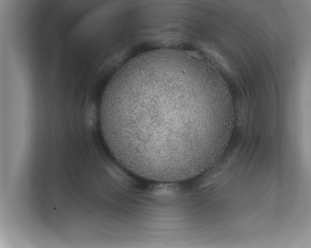 X0000112380077200908271328