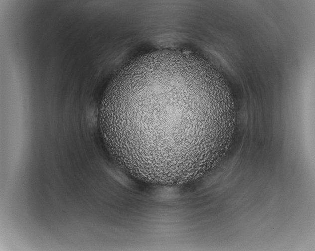 X0000112380081200908271328