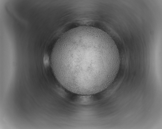 X0000112380089200908271328