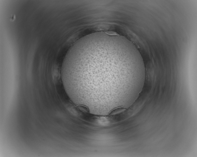 X0000112380091200908271328