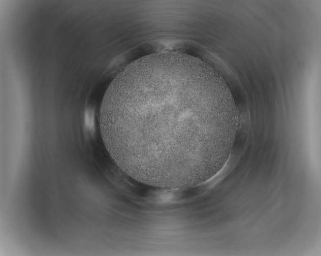 X0000112380094200908271328