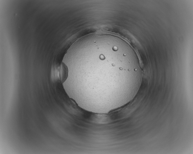 X0000112380095200908271328