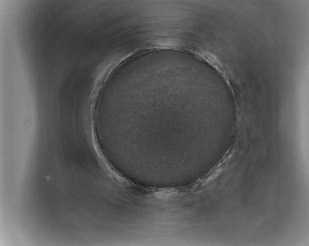 X0000112380097200908271328