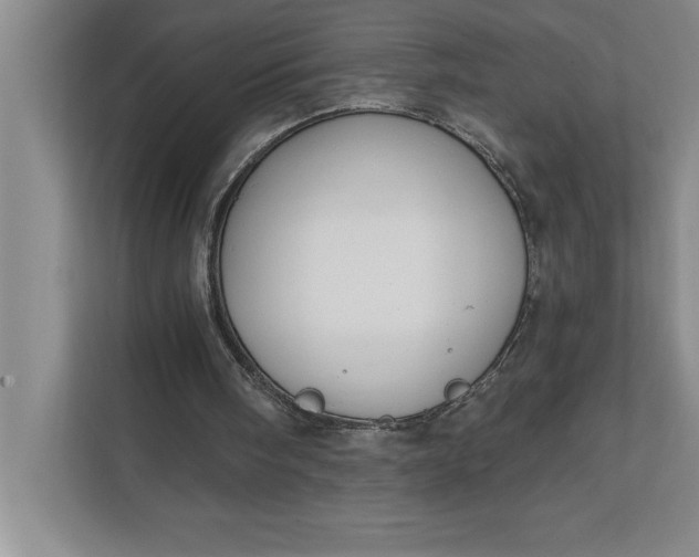 X0000112380098200908271328