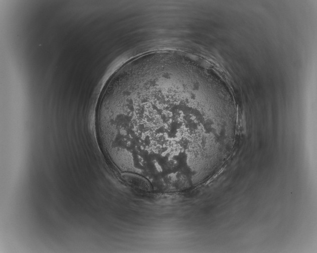 X0000112380099200908271328