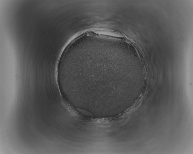 X0000112380100200908271328