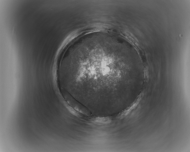 X0000112380101200908271328