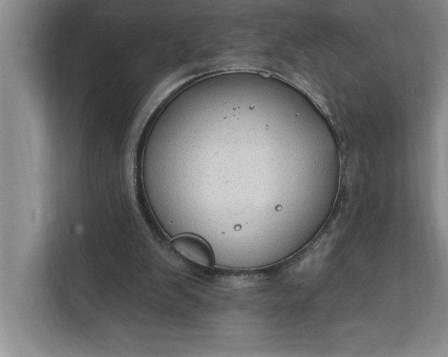 X0000112380103200908271328